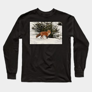 Foxy in the woods Long Sleeve T-Shirt